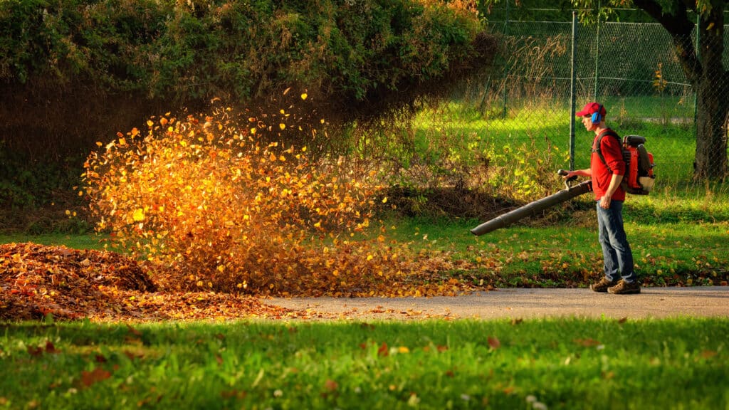 Un homme utilise un souffleur thermique de feuilles lourd : les feuilles sont mises en tourbillon et brillent sous l'agréable lumière du soleil.