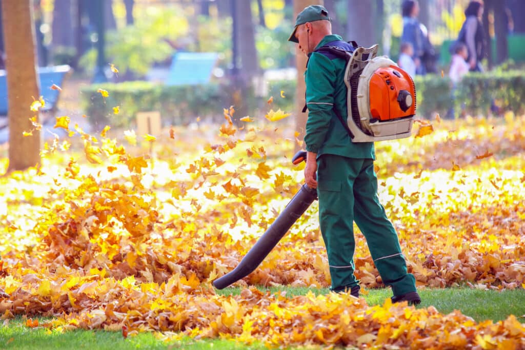 Un homme dans un parc enlève les feuilles d'automne avec un souffleur thermique STIHL.