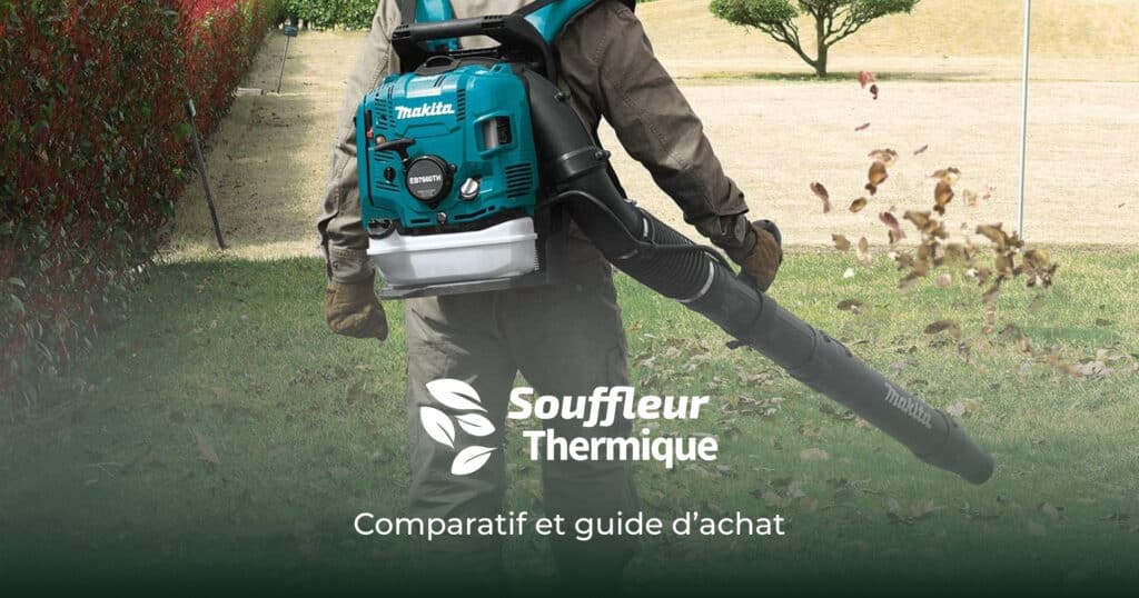Guide d'achat de souffleur thermique : Comment choisir l'outil idéal pour  vos besoins de jardinage - Blog arrosage du jardin